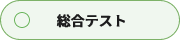 総合テスト実施可能